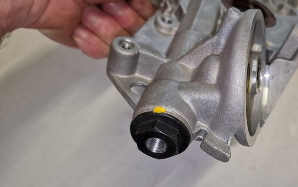 FTT OPEL ÖLPUMPE Z20LEH [AusTausch]